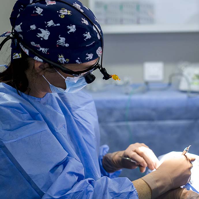 Soin des patients au cabinet dentaire du Dr Claire CASTETS à Plaisance-du-Touch Toulouse